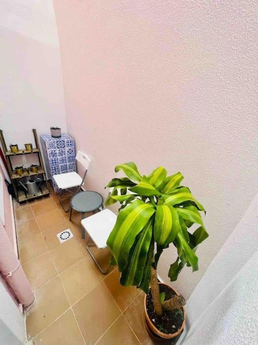 Graca Home Lisbon Luaran gambar
